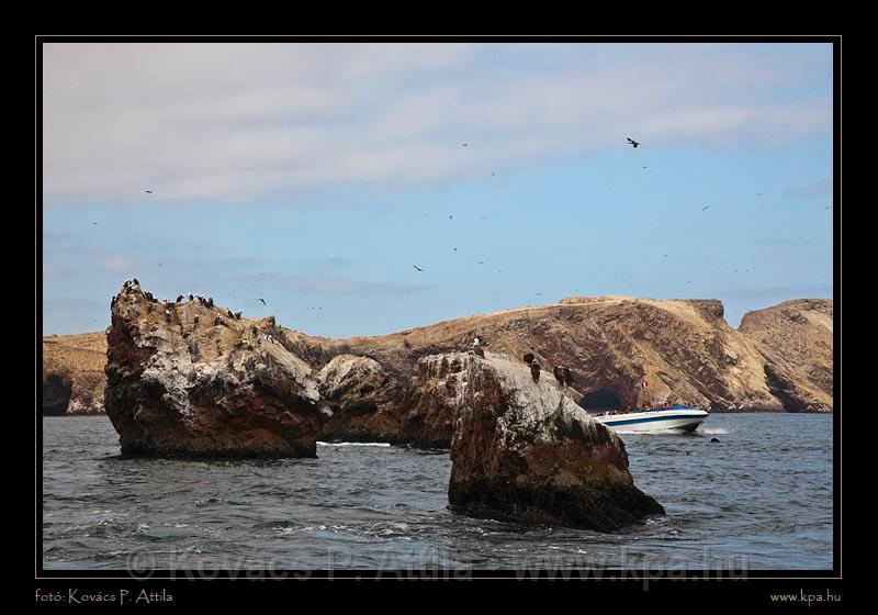 Ballestas Islands 050.jpg